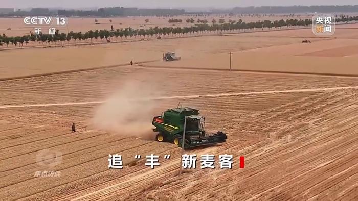 “新麦客”助力麦收效率飞跃 滑县 收割机 合作社 第5张