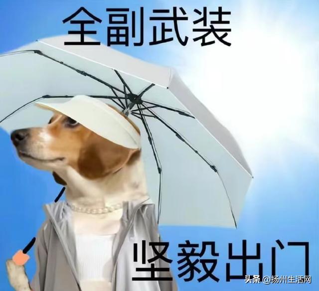 黄色预警！阵雨、雷雨！扬州接下来的天气↓