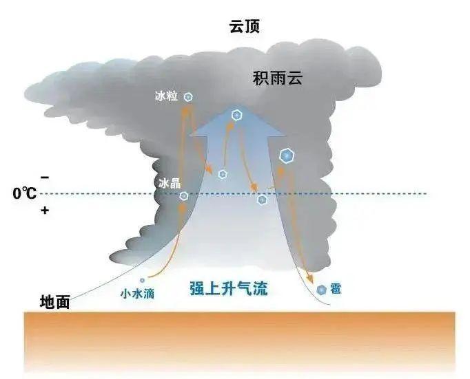 最新通报！两人在广场上打伞行走遭雷击！广州将迎雷雨天，这些动作必须学起来| 眼睩睩