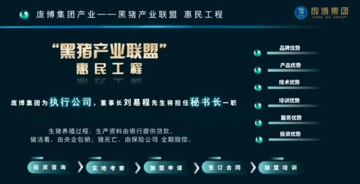 5000元“认养”一头黑猪，每天都有“返利”？真相是......