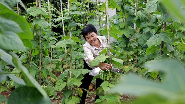 调查研究显示：老年人花费大量时间从事有酬和无酬劳动