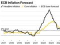 欧洲央行管委Vujcic：若9月想降息 通胀得改善