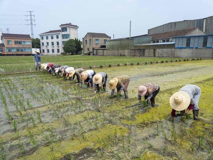 长三角近30家主流媒体聚焦常州武进