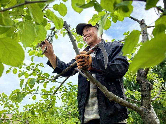 “植树愚公”王武山：绿色梦想的践行者 媒体 资讯 看点 新浪 第7张