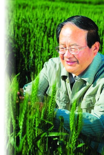 新疆育成麦类作物品种最多的育种家曹连莆逝世，享年86岁