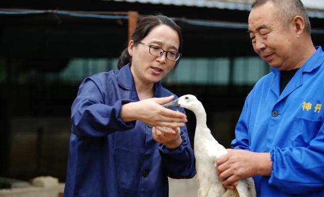 武汉名校女硕士毕业养鸭子！网红大牌抢着买