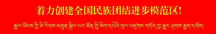 明确了！拉萨这些人有免试资格！