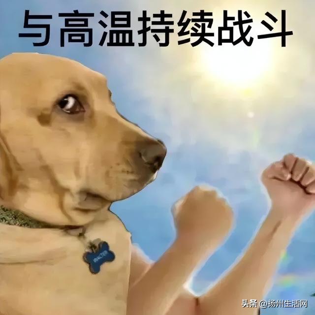 大暴雨！雷暴大风！扬州入梅时间定了！