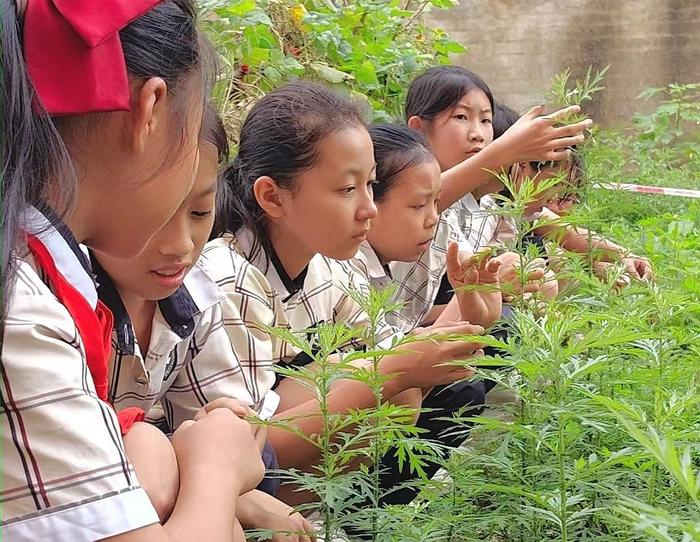 广西农业科学院花卉研究所联合南宁市华衡小学举行劳动教育实践基地挂牌仪式