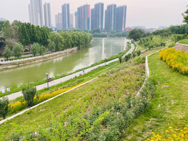 “地面巡查+空中监管” 郑州中原区西流湖街道环境整治有妙招