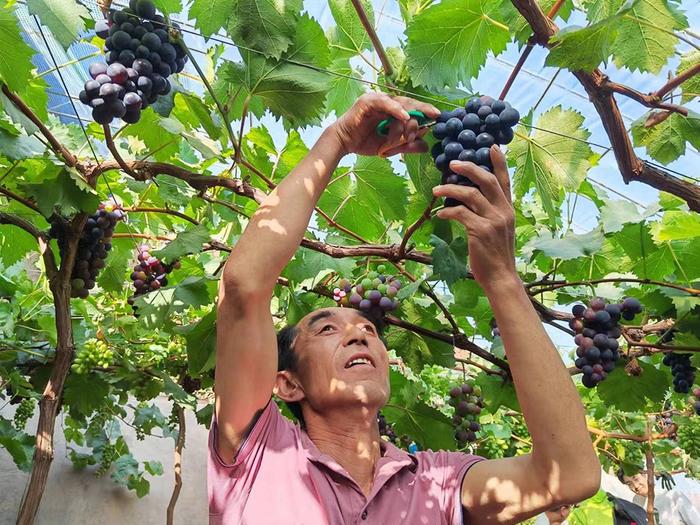 “北京向西一步”的乌兰察布，每个旗县都想和你来一场旅游之约