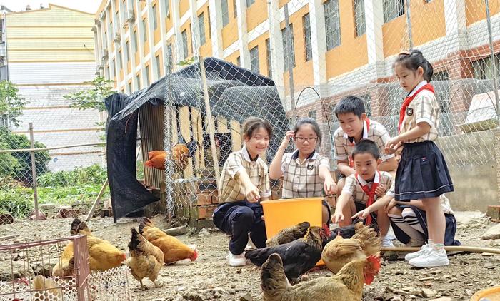 广西农业科学院花卉研究所联合南宁市华衡小学举行劳动教育实践基地挂牌仪式