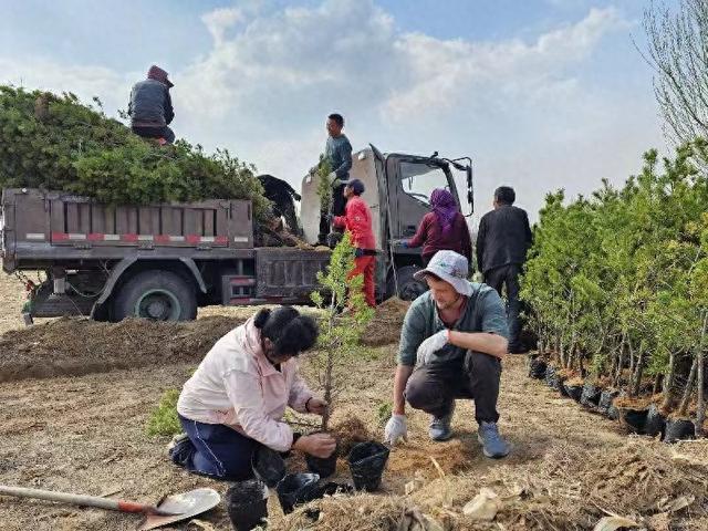 我们的共同目标就是让地球变得更绿更好 殷玉珍与美国青年的“绿色中国缘”