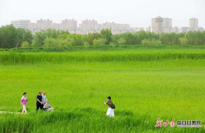 🥰超心动！一键切换夏日“薄荷曼波”