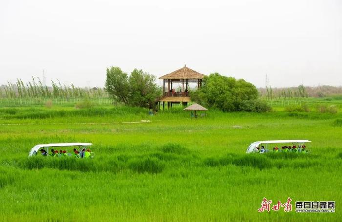 🥰超心动！一键切换夏日“薄荷曼波”