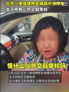 “外交豁免权：使馆圈法律人的深度解析”