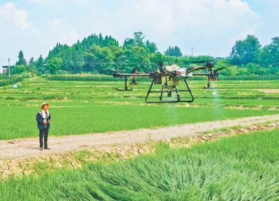 重庆市万州区搭建综合农事服务平台——当好乡亲们的“田保姆”（三夏进行时）
