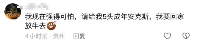 突然爆红！“95后”小伙网上教务农，网友：给我来块地……