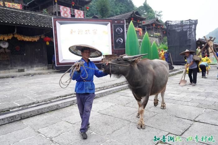 湖北的这场“村晚”太嗨啦！