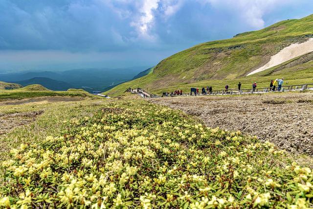 温柔、神秘、壮美、治愈……盛夏的长白山，有一万个让你心动的理由