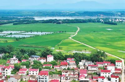 夏至：景风南来 养心安神（二十四节气里的中医养生之道）