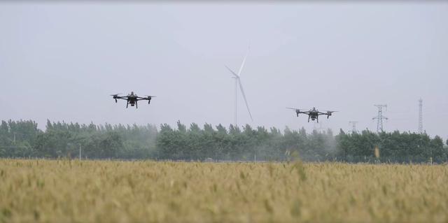 低空＋物流、湿地治理、农业，天津宁河布局北方低空飞行产业示范区