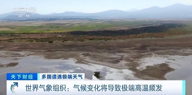 近期全球多地高温已致上千人死亡！最新报告发布