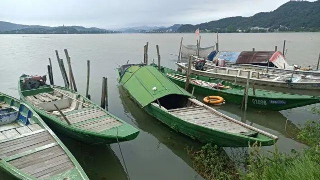 刚刚，新安江水库开始泄洪！杭州多地景区通知暂停开放