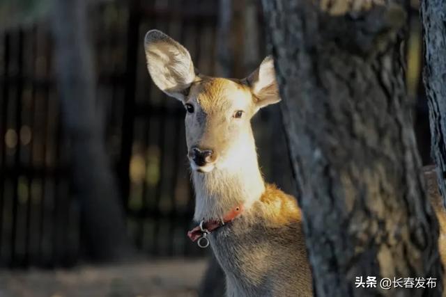 电子露营地图出炉！露营、出游怎么选？速戳→