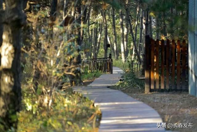 电子露营地图出炉！露营、出游怎么选？速戳→