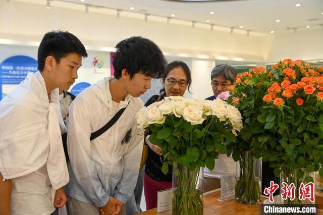美国华裔青少年探访昆明斗南 遇见花花世界