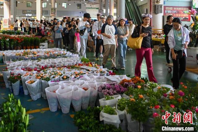 美国华裔青少年探访昆明斗南 遇见花花世界