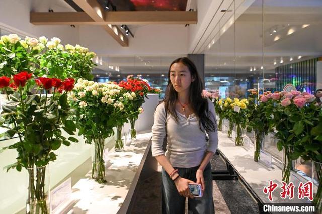 美国华裔青少年探访昆明斗南 遇见花花世界