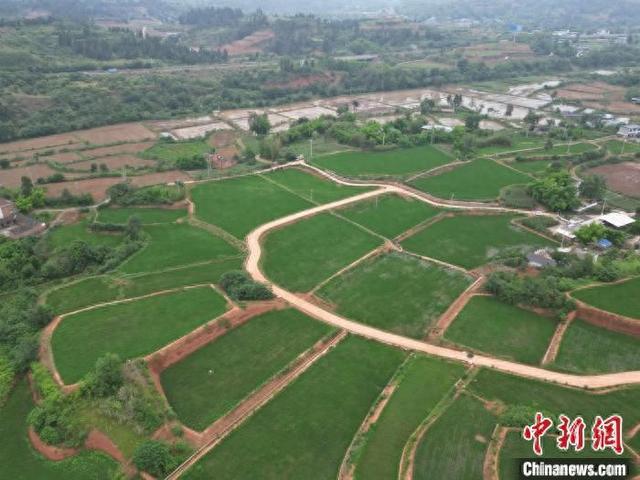 四川仁寿：推进土地整治 缺水荒地变水田