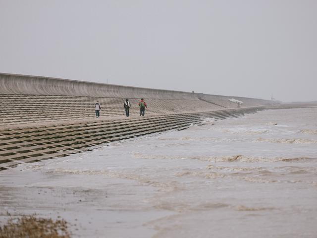 以自然之力应对海平面上升，需建好真正的绿色海堤｜底线城市