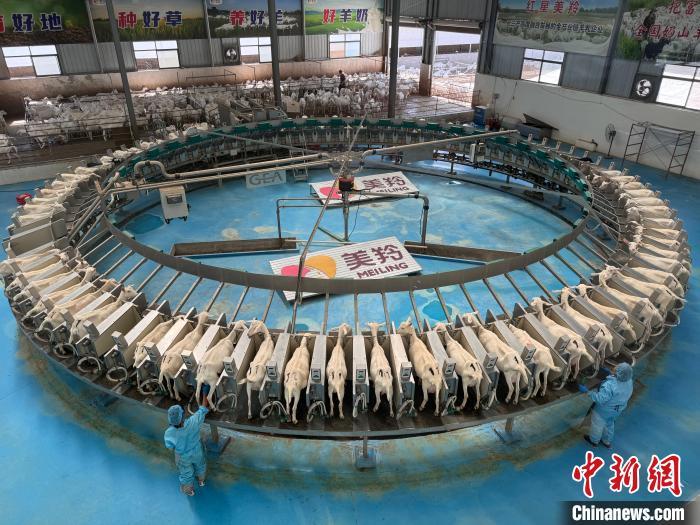 “羊乳生态：打造循环系统” 中国 陕西省 第4张