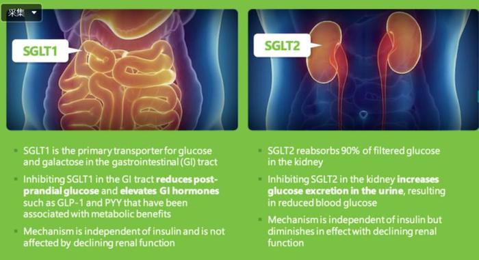 SGLT1/2抑制剂「​索格列净」​重新申报1型糖尿病新适应症