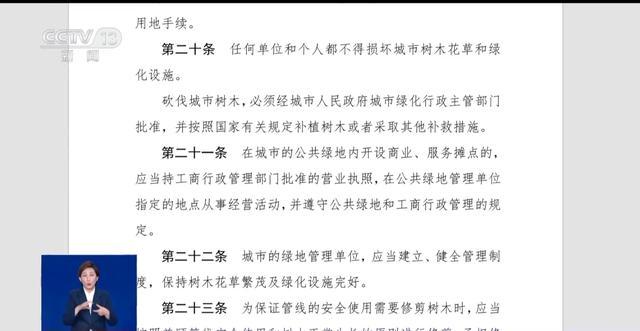 上海一餐厅擅自砍伐外滩观景平台7棵香樟树 重罚！