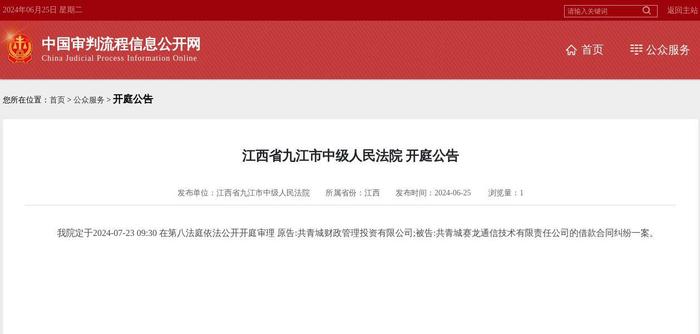 共青城赛龙通信技术有限责任公司因借款合同纠纷案件被告，2024年7月23日在江西省九江市中级人民法院开庭