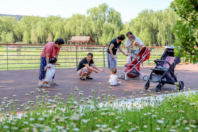 北京20处“一绿”公园完成升级，今年还有20处启动改造