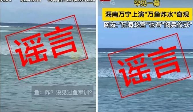 海南万宁海域上演“万鱼炸水”奇观？回应来了