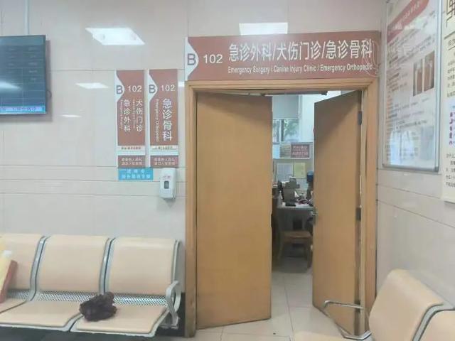 近期高发！上海有医院一天看诊500人次……医生提醒