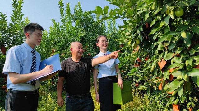 普惠金融助力共同富裕迈上新台阶