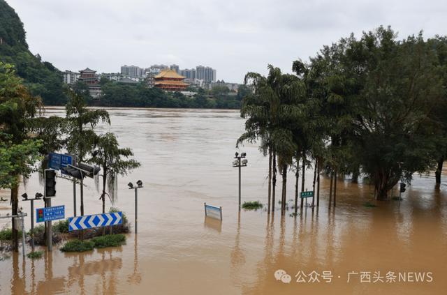 广西局地大暴雨+超警洪水！柳州市区多地被洪水淹没
