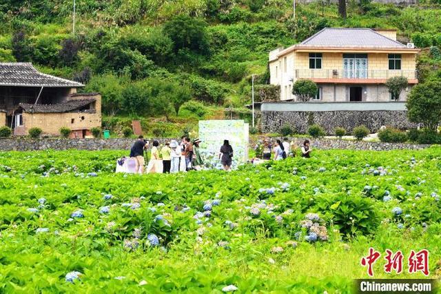 福州市两岸共通标准应用现场开放日宣传活动举行