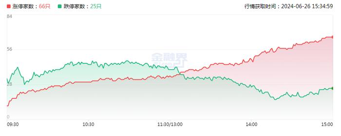 涨停复盘：市场超4800股上涨 AI概念爆发