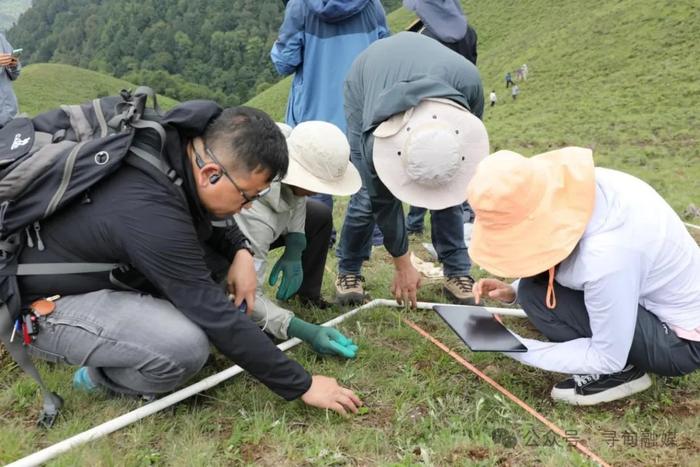 云南省林业调查规划院昆明分院到寻甸县开展2024年全省林草湿荒草原样地调查技术培训工作