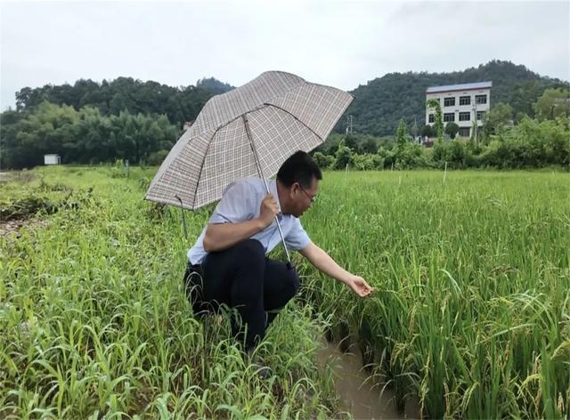 “战长沙”！湖南长沙暴雨，这组照片记录气象人的24小时！