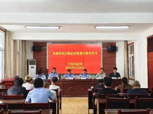 延伸判后职能，做实能动司法——略阳法院积极参与未成年罪犯矫治工作