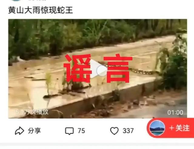安徽5市26县（区）累计70.2万人受灾！4人因散播洪涝灾害谣言被处罚